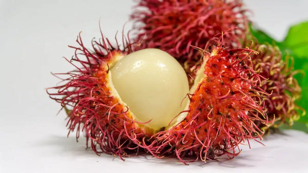 aliments naturels